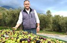 Nagradzana GRECKA Oliwa z Oliwek Extra Virgin 2l - 9