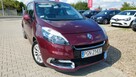 Renault Scenic 1.5 110ps DCI Alusy 17 BOSE PolSkory Navi Kamera Cofania LED Lift - 4