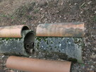 Dekoracja ogrodu domu - 3