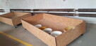 Linia do produkcji PELLETU , Peleciarka 7,5 Kw 11 Kw 15 Kw, - 8