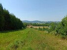 Działka w miejscowości Ladzin, gmina Rymanów - 2