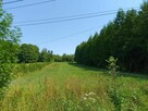 Działka w miejscowości Ladzin, gmina Rymanów - 3