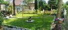 Ogródek dzialkowy - 4