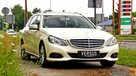 Mercedes E 200 CDI T BlueEfficiency 7-osobowy po niemieckiej taksówce - RATY ZAMIANA - 3