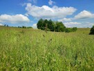 Działka rolno-budowlana Koniuszowa, gm. Korzenna - 3