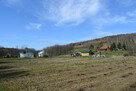 Działka rekreacyjna 40a- Manasterz - 11