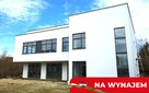 Lokal do wynajęcia - 2