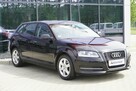 Audi A3 1.6 MPI! Climatronic, Grzane fotele, GWARANCJA, Bezwypadek, Zadbana! - 5