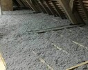 Ocieplenia poddaszy celulozą-PUR, naprawa izolacji po kunach - 8