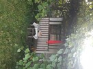 Ogródek działkowy - 2