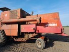 Sprzedam Bizon - 2