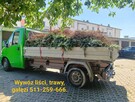 Usługi ogrodnicze, prace porządkowe, wynajem maszyn - 2