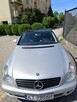 Mercedes CLS W219 - 10