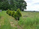 działka 11.6 arów do sprzedaży - 3