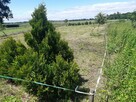 działka 11.6 arów do sprzedaży - 4