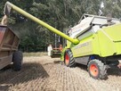 Usługi rolnicze Koszenie zbóż, uprawa bezorkowa, gruberowani - 7