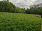 Sprzedam ziemie dla dewelopera działki widokowe 58ha - 4