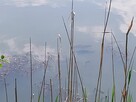 Domek 6 os ze stawem na wyłączność - 7