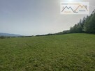 Działka budowlana Długopole Dolne gm. Bystrzyca Kłodzka - 14