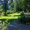 Wynajmę część działki na biznes w centrum Alesia Dolnego /Pi - 2