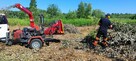 Usługi ogrodnicze / prace porządkowe - 2
