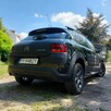 Citroen C4 Cactus Panorama - 3