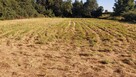 Działka (Budowlana) - Gorzyca - 2