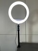 LAMPA pierścieniowa (Ring Light) TRACER 30 cm + STATYW biurk - 2