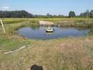 Domek 37m2 do wynajęcia w lesie - 4