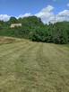 Koszenie trawy, nieużytków, kosiarka bijakowa, karczowanie - 15