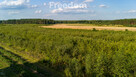 Działka Rolna Mirowice - 3