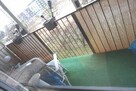 Sprzedam mieszkanie w Koninie ul Piłsudskiego - 8