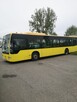 Kierowca kat. D - 2