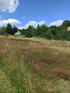 Koszenie trawy, nieużytków, kosiarka bijakowa, karczowanie - 14