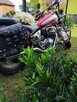 Suzuki VZ800 MARAUDER - 6