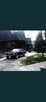 Mustang auto / Samochód do ślubu zabytek - 4