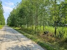 Działka blisko Lasów Kozłowieckich, Nowodwór - 11