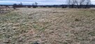 Działka pod fotowoltaikę, przemysłowa, inwestycyjna 7800 m2 - 5