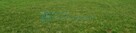 Pruszków#Osiedle Agricola#Działka o pow. 918m2 - 1