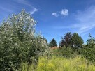 Pruszków#Osiedle Agricola#Działka o pow. 918m2 - 5