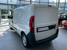 Fiat Doblo Cargo Maxi Chłodnia Izoterma Agregat, pełne odliczenie VAT - 8