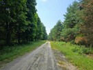 Działka blisko Lasów Kozłowieckich, Nowodwór - 13
