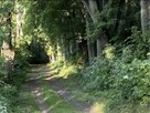 Dom z działką nad jeziorem - 6