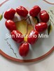San Marzano Pomidor plenny nasiona kolekcja 2024 - 2
