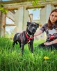 Maleńka, bardzo wrażliwa i emocjonalna suczka do adopcji! :) - 3