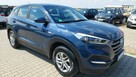 Hyundai Tucson 1.6 132ps Benzyna Klimatyzacja Navi Alusy 16 NAVI PDC LED - 13