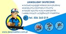 Usuwanie os i szerszeni Gryfice Trzebiatów Płoty - 4