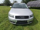 Audi a3 8p 1,6mpi Xenon - 1