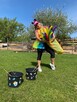 Aniamcje zabaw - 4