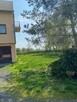 sprzedam dom razem z działką i budynkami gospodarczymi - 2
